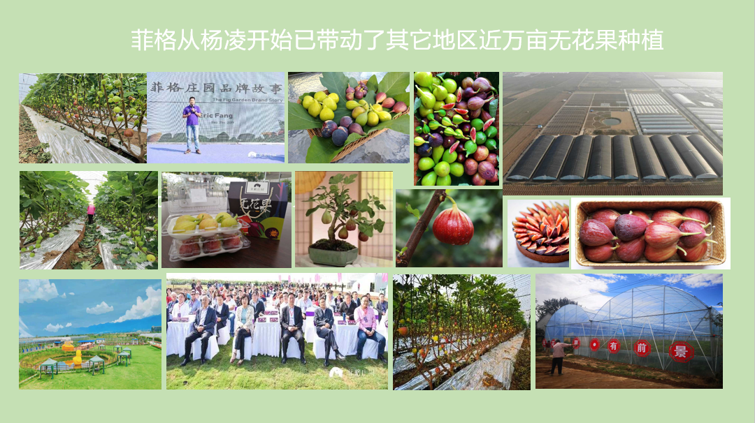 c9b9f27269674929a0580263b4d96fae.png c9b9f27269674929a0580263b4d96fae.png