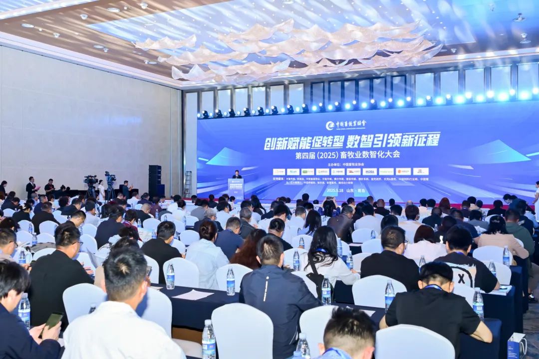 微信图片_20250606101706.jpg