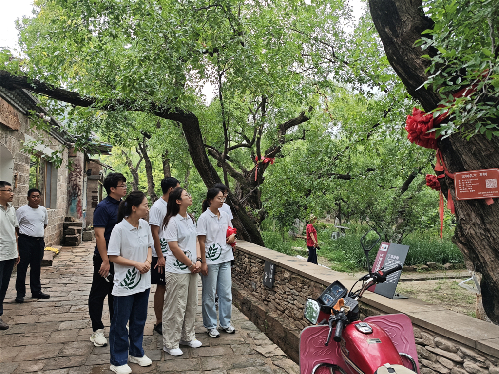 图片二 队员参观红枣园千年古枣树.jpg