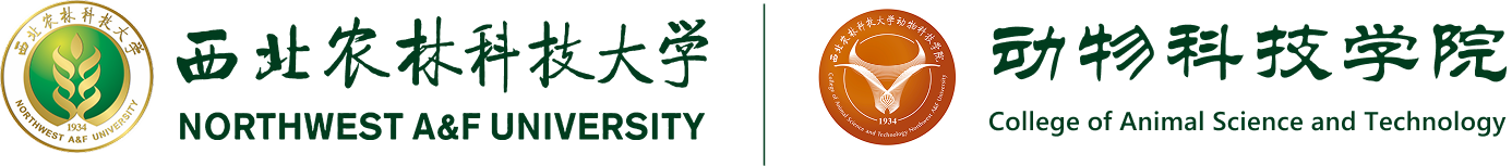 绿帽小说
